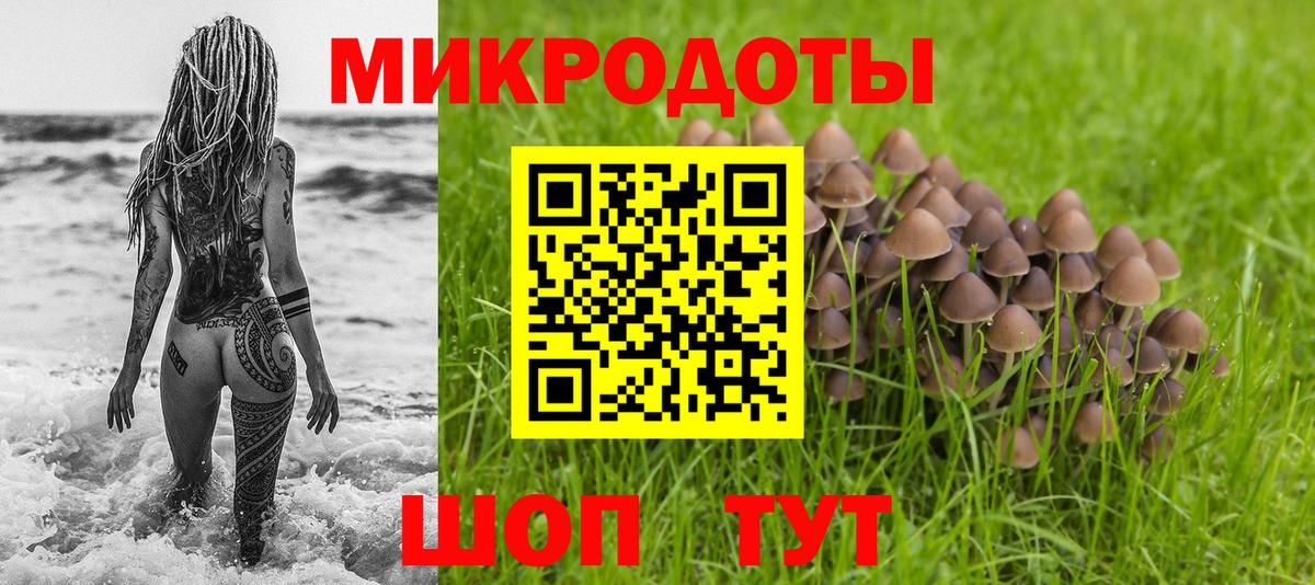 Псилоцибиновые грибы GOLDEN TEACHER Ейск